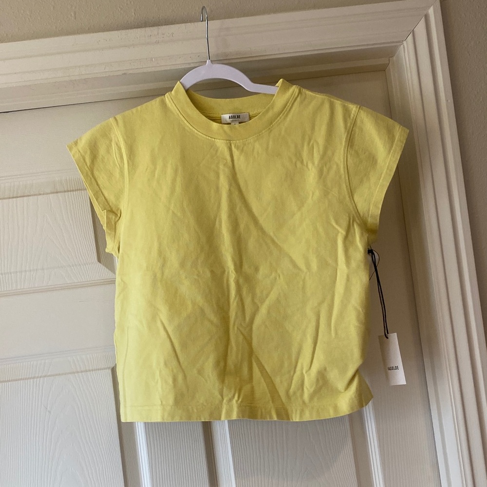 Agolde Bryce Short Sleeve Tee color mantis